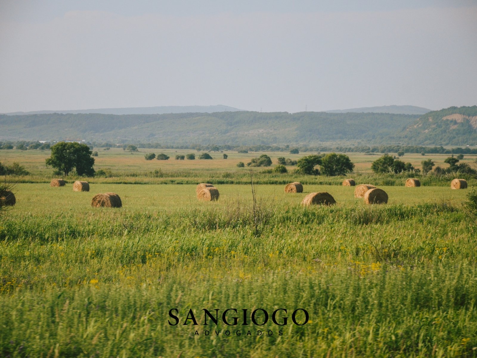 Usucapião Rural: Como Regularizar a Terra Onde Você Vive e Produz