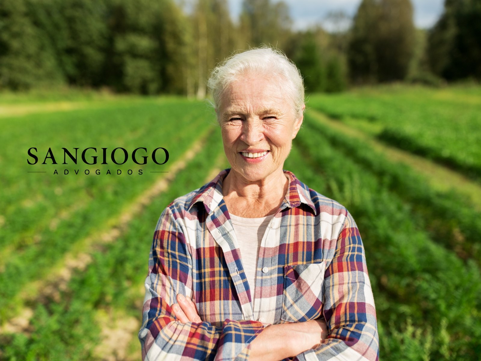 Aposentadoria por Idade Rural: Como Provar o Trabalho no Campo