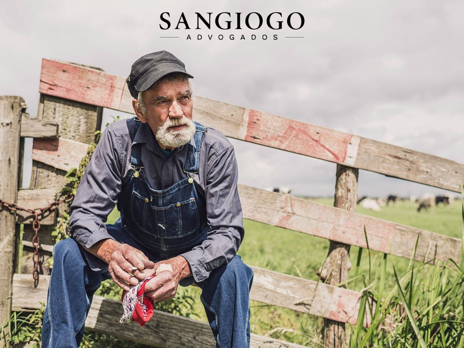 Usucapião Rural: Quem Trabalha na Terra Pode se Tornar Dono da Propriedade?